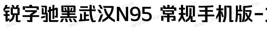 锐字驰黑武汉N95 常规手机版字体转换